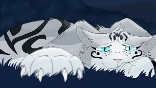 Silverstream- Wonder PMV MAP Part 13