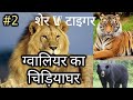 मगरमच्छ खा गया बिल्ली को ग्वालियर के चिड़ियाघर में|| #rakeshk9vlog