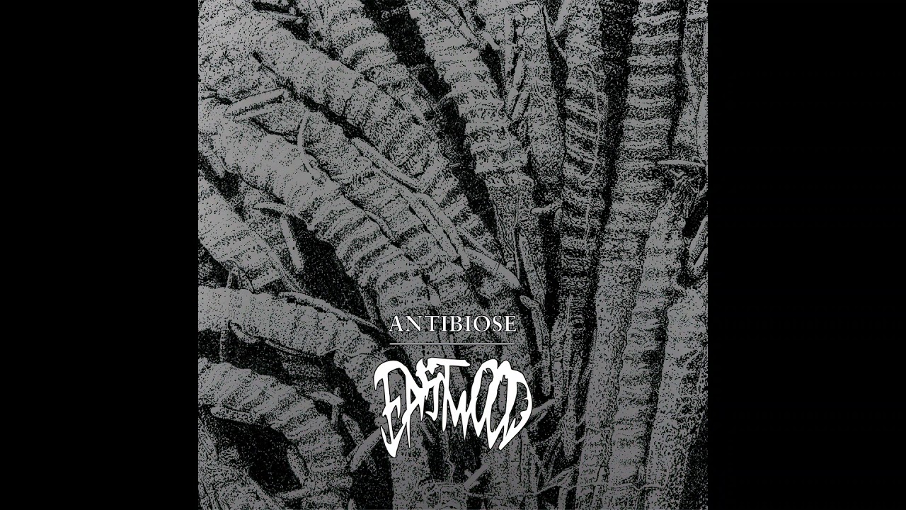 Watch Eastwood - Antibiose (2021) on YouTube Watch Eastwood - Antibiose (2021) on YouTube