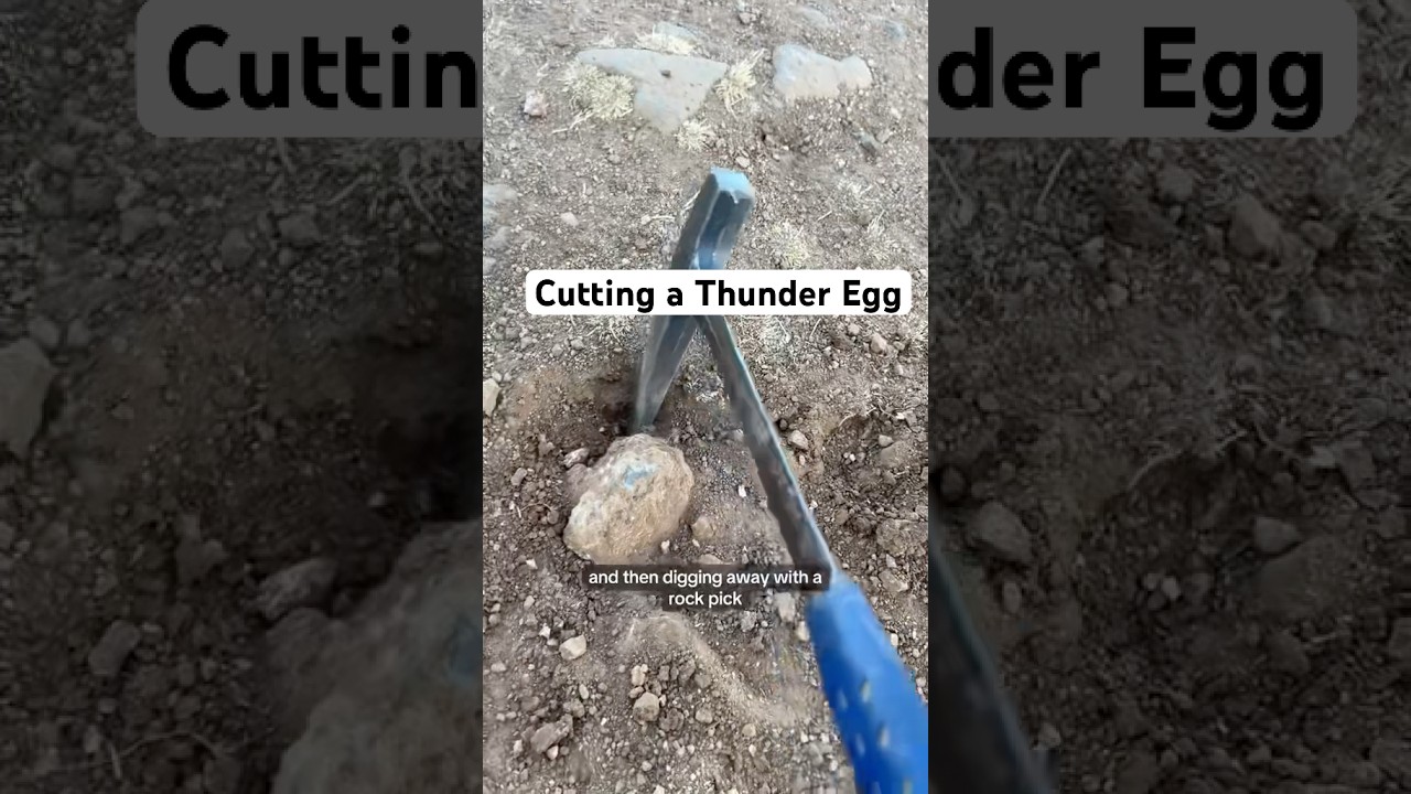Thunder Egg dig #geode #rockhound #rockhounding #agate #crystals #gemstone #thunderegg #rocks #gems