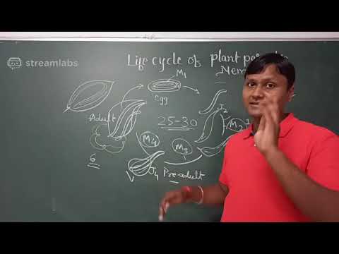 General life cycle of Plant Parasitic nematodes