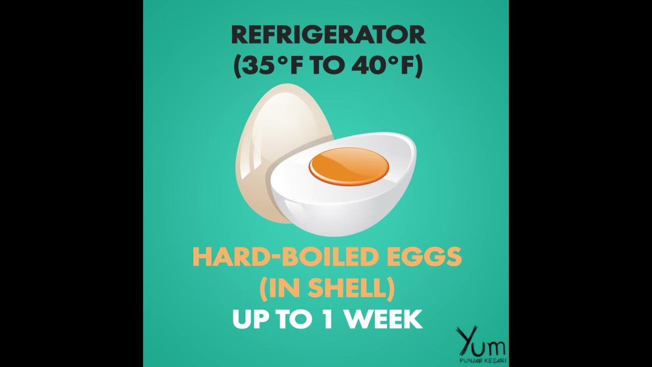 How Long do Eggs Last in the Fridge YouTube