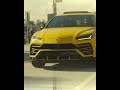 Lambo x MIA | Surroundings Group