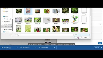File Image Upload / File Image Download / View File Image - Oracle APEX