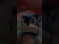 Sonic Big Toy 2025 Vs Nine (Tails) 2025 Who Wins Who Better Sonic Big Toy Or Nine (Tails)