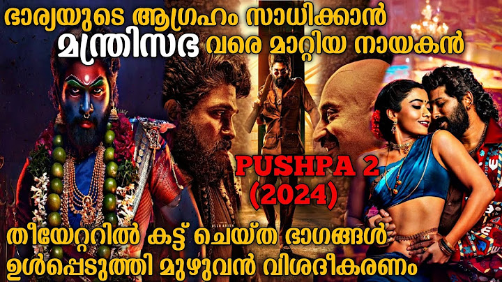കുടുംബത്തിന് വേണ്ടി പുഷ്പ ചെയ്തത് കണ്ടോ | Pushpa 2 The Rule (2024) Full Movie Explained In Malayalam