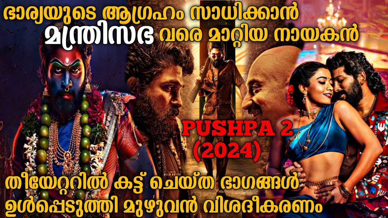 കുടുംബത്തിന് വേണ്ടി പുഷ്പ ചെയ്തത് കണ്ടോ | Pushpa 2 The Rule (2024) Full Movie Explained In Malayalam