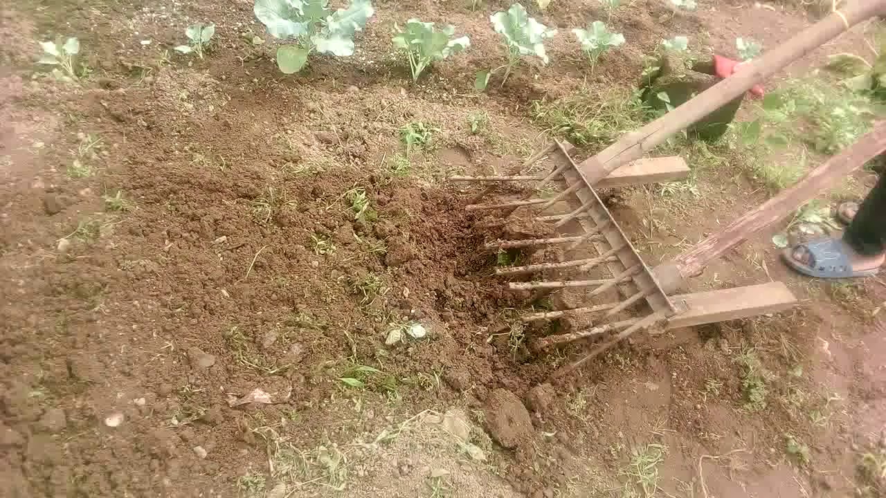 Amazing Agricultural Tools Manual Hand Plough Tiller No Till