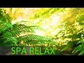 8 Hour Meditation Music: Relax Mind Body, Spa Music, Background Music, Massage Music ☯218