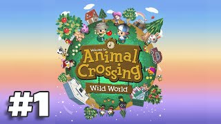 Animal Crossing Wild World (Let's Play Ep 1)