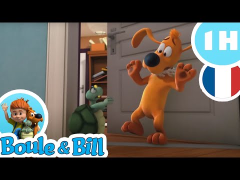 😲 Il veut récupérer la carapace de Caroline la tortue ? 🐢 - Nouvelle compilation Boule et Bill FR
