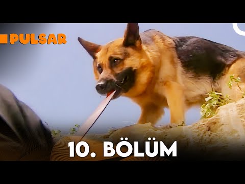 Pulsar 10. Bölüm