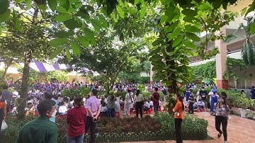 Lễ tổng kết năm học 2021-2022 trường tiểu học Võ Trường Toản- Cần Thơ