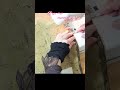 すごすぎた!日本のおばあちゃんの手にかかったらこうなる #short #diy #kimono #ハンドメイド