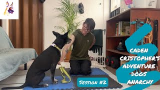 Leash pressure as part of a communication system with your dog; session #2: we get understanding!