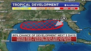 LIVE 7PM GULF UPDATE: Tropical Depression likely to form soon