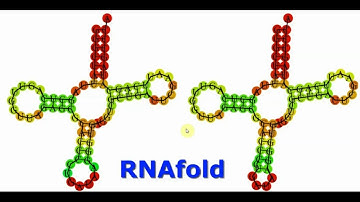 RNA secondary structure prediction with RNAfold