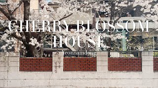 SPRING TIME - Yeonnamdong Cherry Blossom House / 연남동 벚꽃집