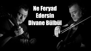 Ne Feryad Edersin Divane Bülbül - Volkan Gümüşlü Resimi