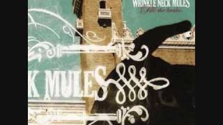 Video thumbnail of "Wrinkle Neck Mules - When Things Unravel"
