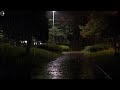 비 오는 공원 폭우와 함께 즉시 깊은 잠, 불면증 극복, 빗소리 최면 ASMR