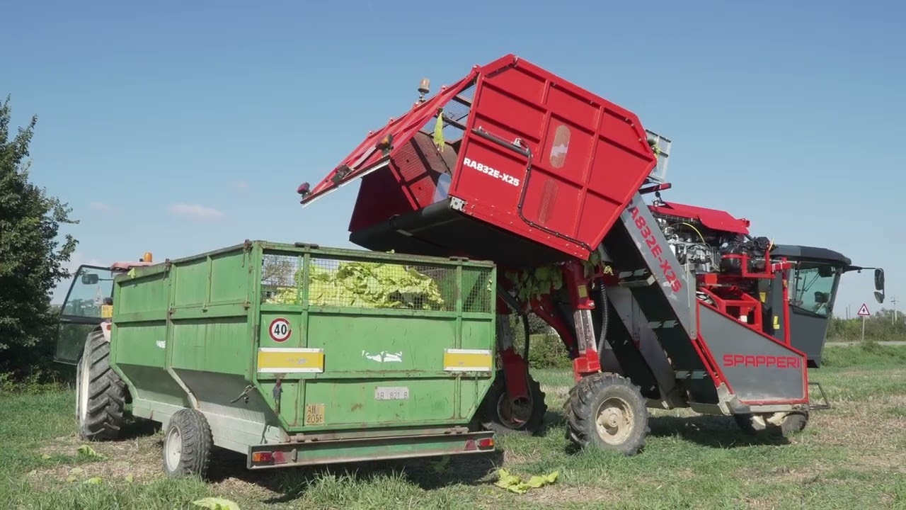 SPAPPERI - RA832E-X25