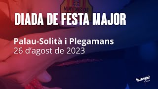 Diada de Festa Major - Palau-Solità i Plegamans