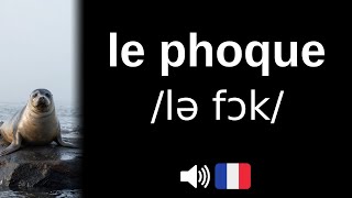 How to pronounce le phoque (CORRECTLY!)