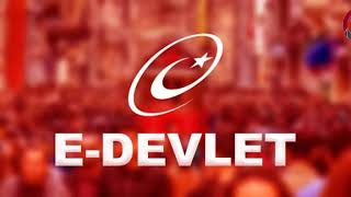 كيفية الحصول على شيفرة E-DEVLET في تركيا وأهم ميزاتها 2021