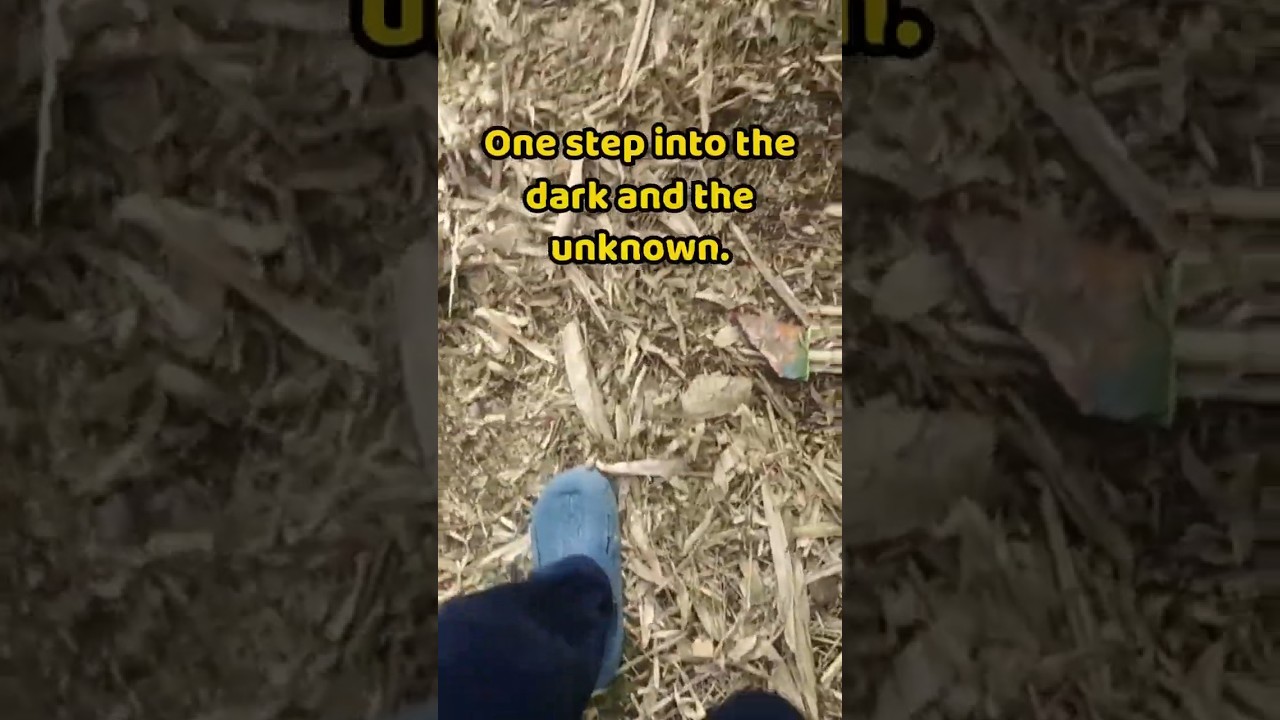 How to Turn Life’s Pressures into Your Greatest Creative Force 