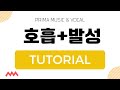 [호흡+발성연습] Tutorial ver. / 스~~~ 로 10박자 끌기 / 호흡 실어 &#39;마&#39;로 발성하기