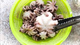 How to clean Baby Octopus and Squid