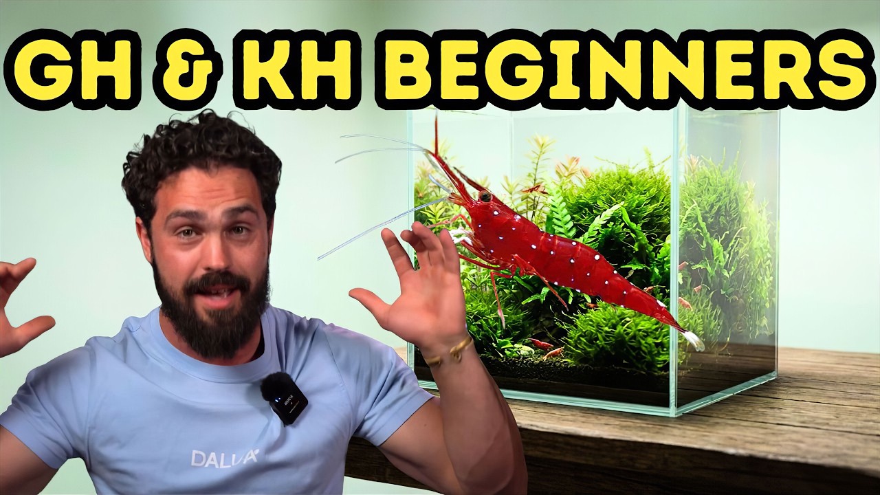 Объяснение различий между GH и KH (Как предотвратить резкое падение pH в аквариумах)