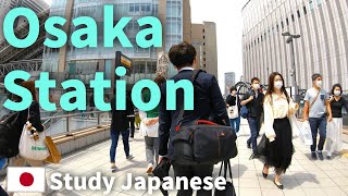 Learn Japanese【Around Osaka station】with subtitles