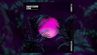 David Guetta & Sia - Flames Extended
