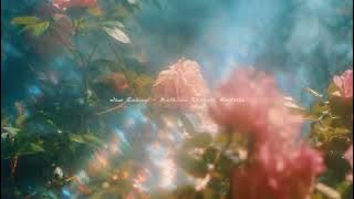 a playlist for romanticizing your everyday life