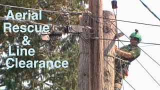 Aerial Rescue and Line Clearance Certification With The Boys! by Guilty of Treeson @ Eastside Tree Works 72,133 views 2 years ago 28 minutes