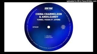 China Charmeleon & AndileAndy ft Ziyon - Tunnel Vision