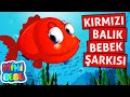 Kırmızı Balık Yüzüyor - 5 Çocuk Şarkısı Bir Arada - MiniBebe