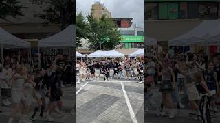블랙핑크_뛰어 댄스를 대표님께 춘다면?#춤추는곰돌 #춤추는곰돌의랜덤댄스 #kpop #dance #music …