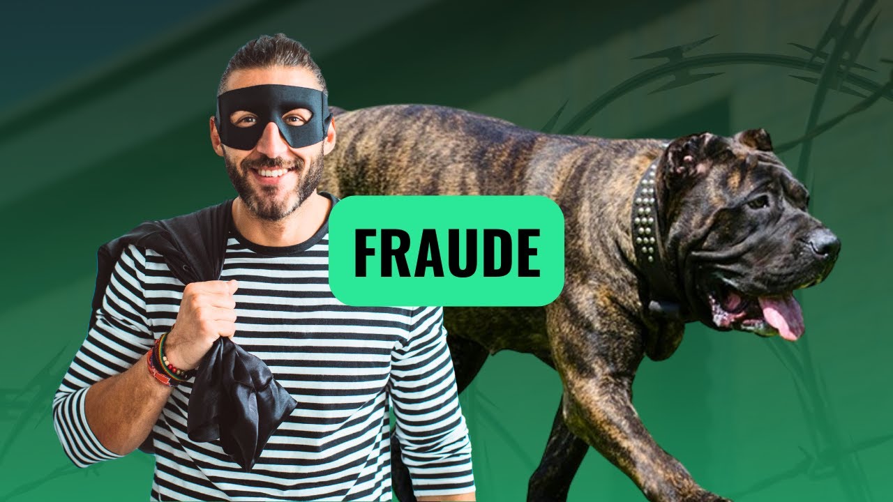 Actos delictivos en torno al Presa Canario