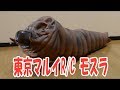 RCモスラの幼虫! 東京マルイ TOKYO MRUI R/C MOTHRA