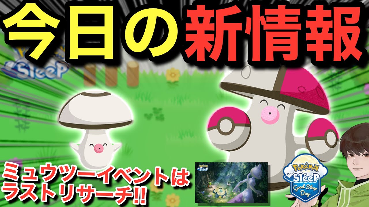 タマゲタケの所感！ミュウツー延長戦の注意点も気を付けて！【ポケモンスリープ】【ミュウツーをおいかけて】無課金リサーチ1161/1146日目