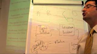 Research Methods for Thesis and Dissertation - 4/4.mp4