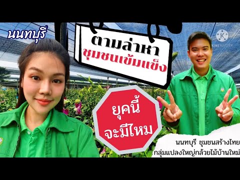 ธุรกิจชุมชนสร้างไทย วสช.แปลงใหญ่กล้วยไม้บ้านใหม่ จ.นนทบุรี 