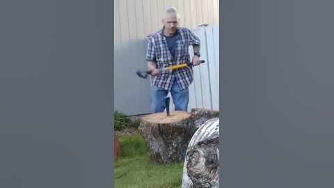 Using a wedge to split wet wood