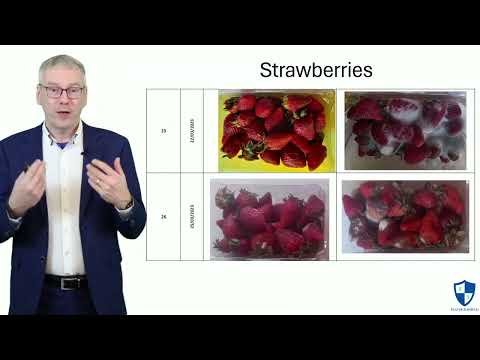 EXPLAINER: Typical Results Of Ozone Treatment On Fruits & Vegetables