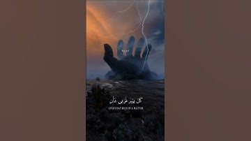 كل من عليها فان :- عبدالله احمد شعبان 😴🎧 تلاوة خاشعة قرآن كريم