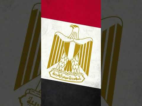نسر مصر 