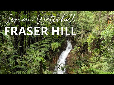 Taman Eko Rimba Jeriau Fraser Hill Bunyi Air Terjun Silent Vlog 2020 Youtube